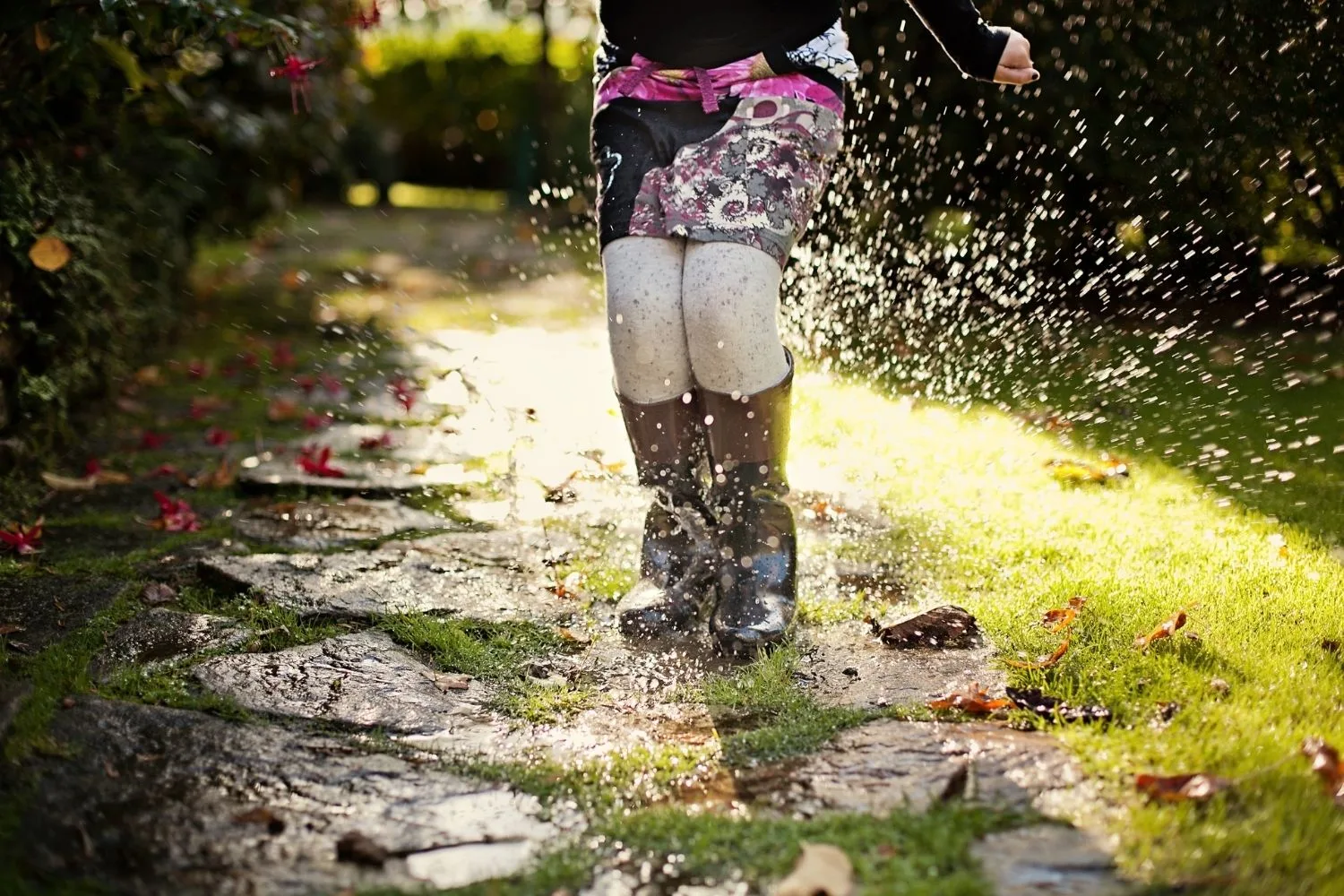 wet weather prepare garden