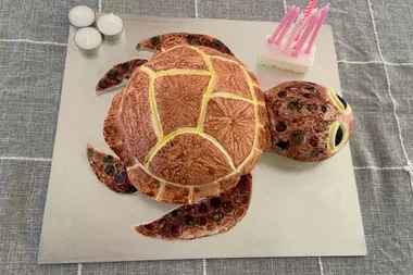 Turtle cake