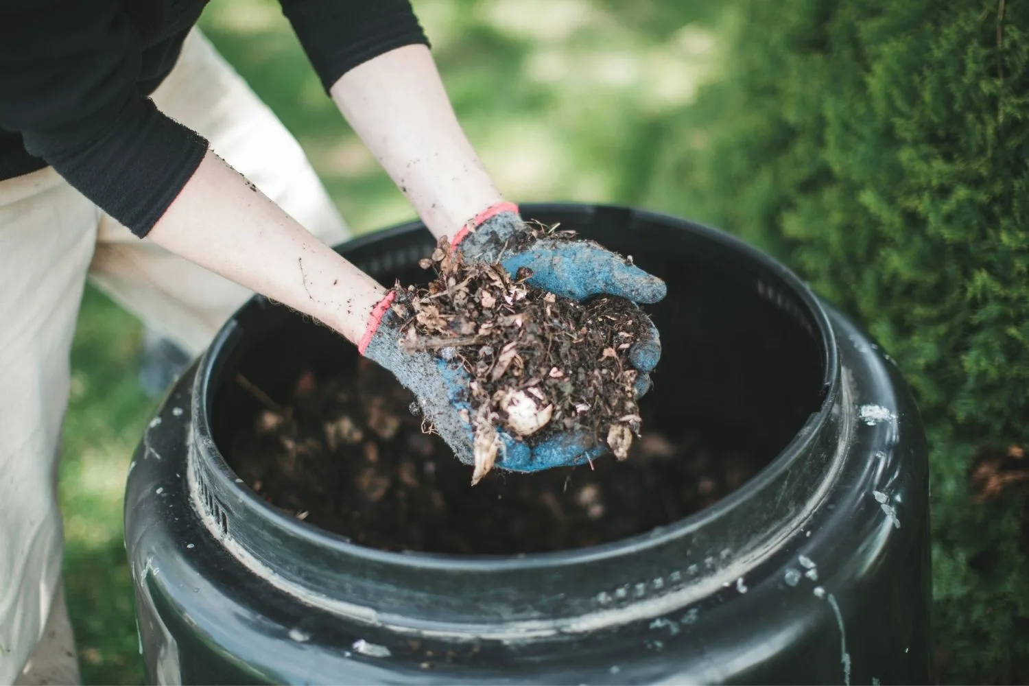 compost bin