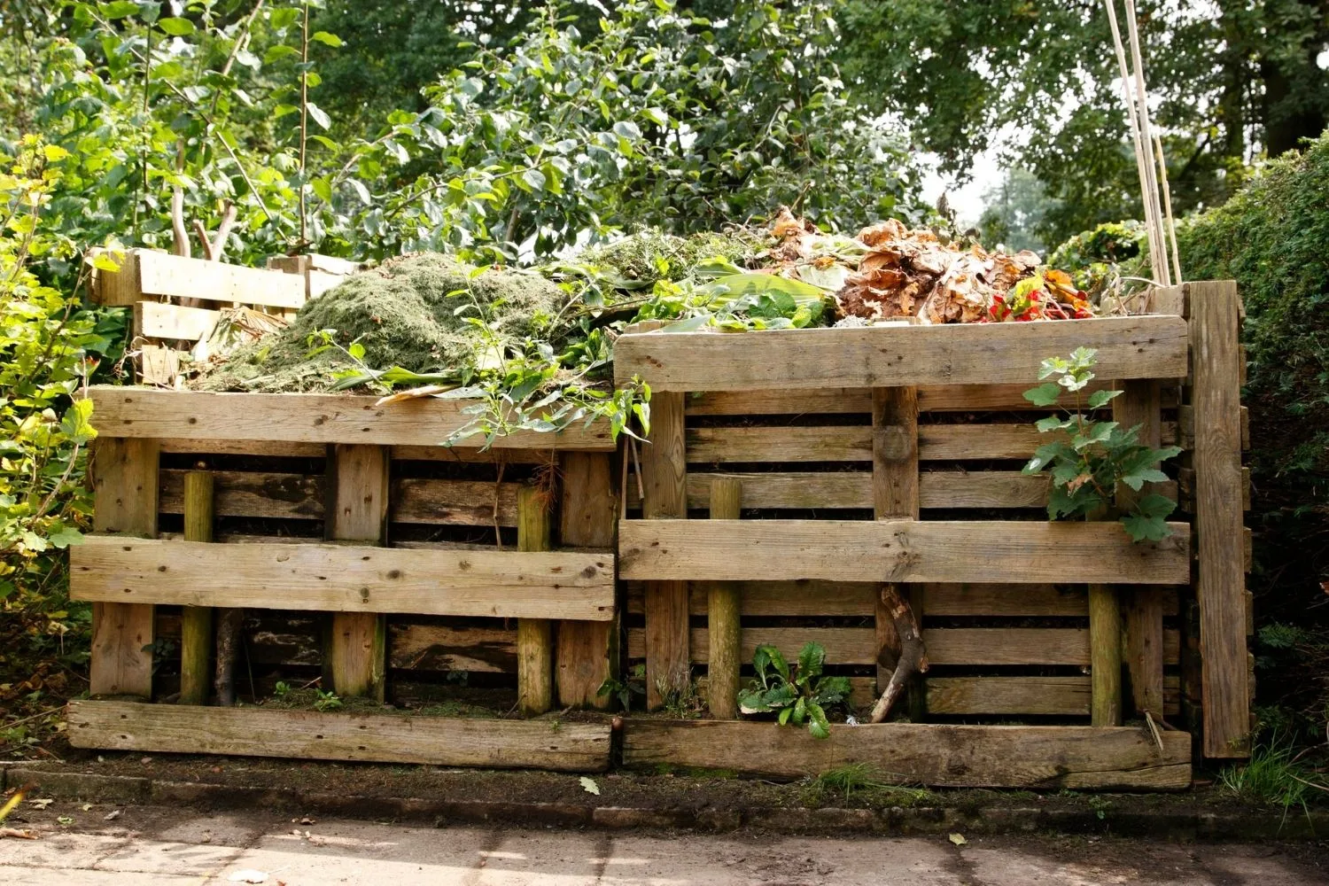 timber compost