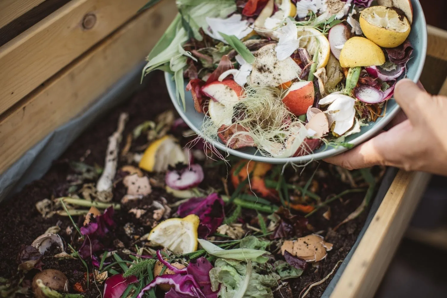 compost