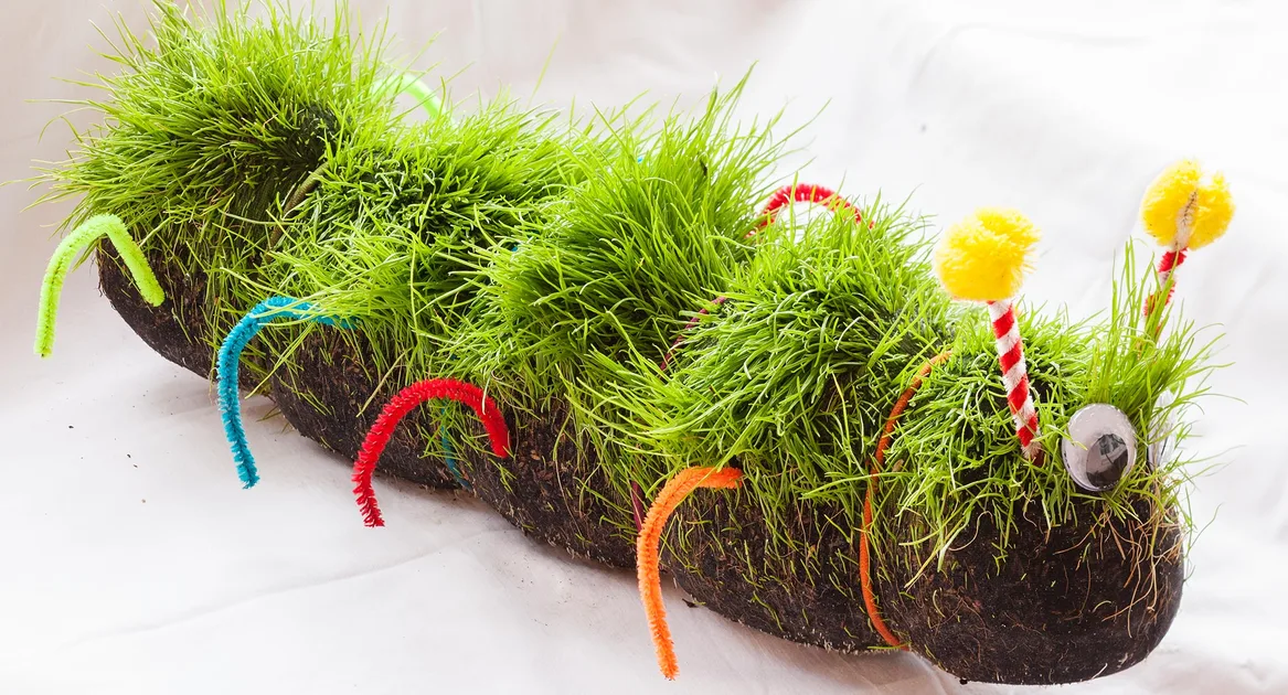 Make a caterpillar garden for the kids | Better Homes & Gardens Australia