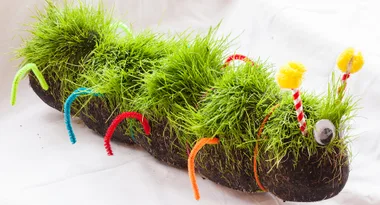 Make a caterpillar garden for the kids
