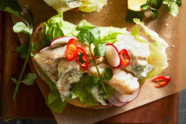 Grilled fish sandwich