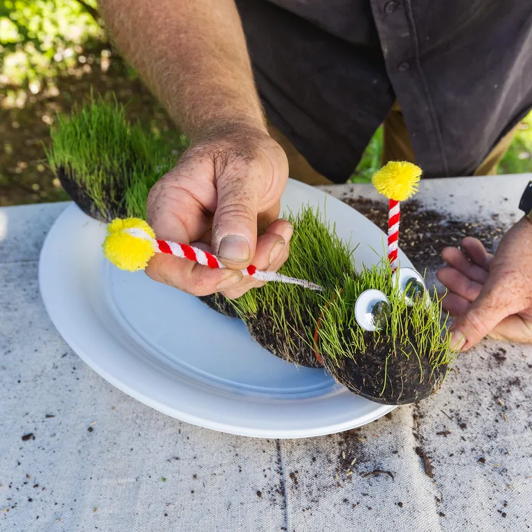 Make a caterpillar garden for the kids | Better Homes & Gardens Australia