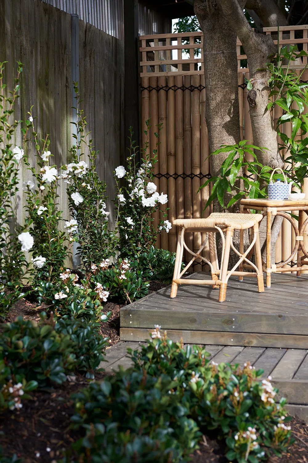 zen garden makeover