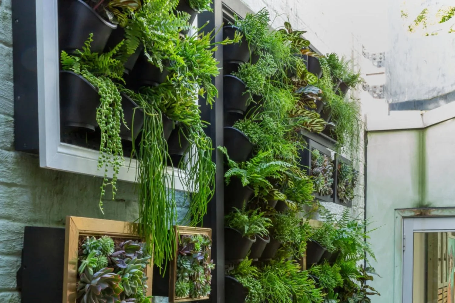 Charlie makes a vertical garden with frames