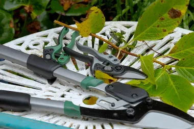 Charlie’s guide to gardening tools