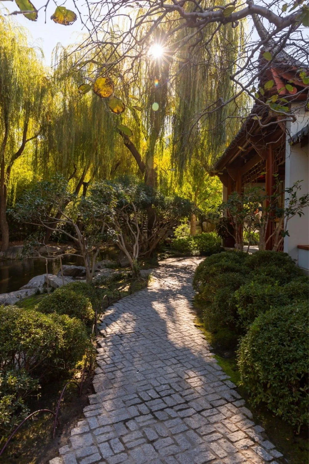 garden