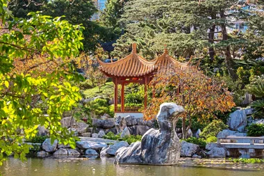 chinese garden