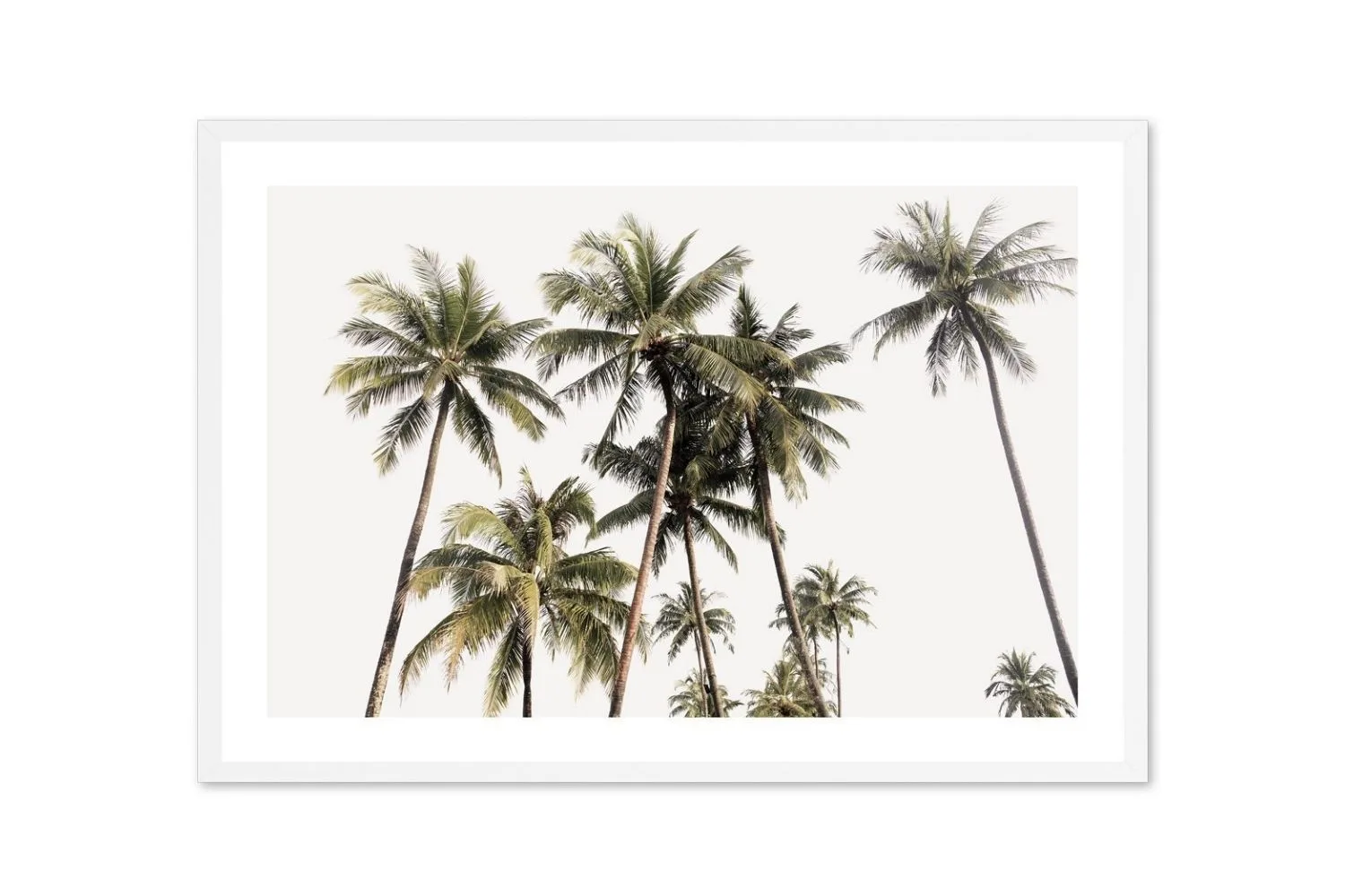 palm-trees-print