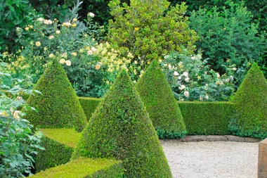 How to make a topiary animal