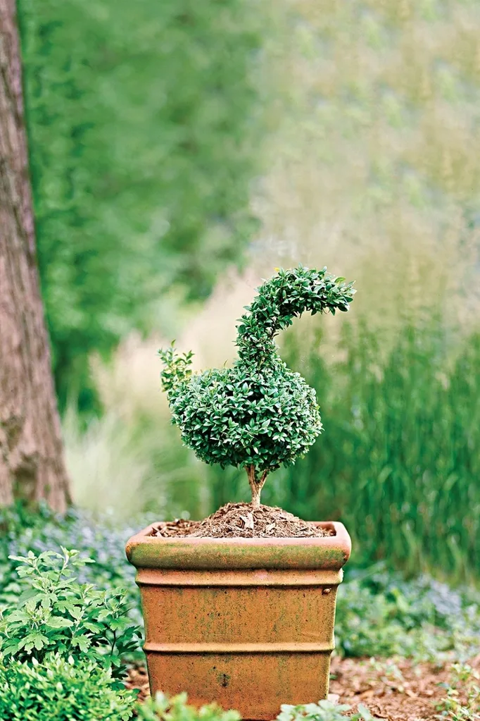 bird topiary