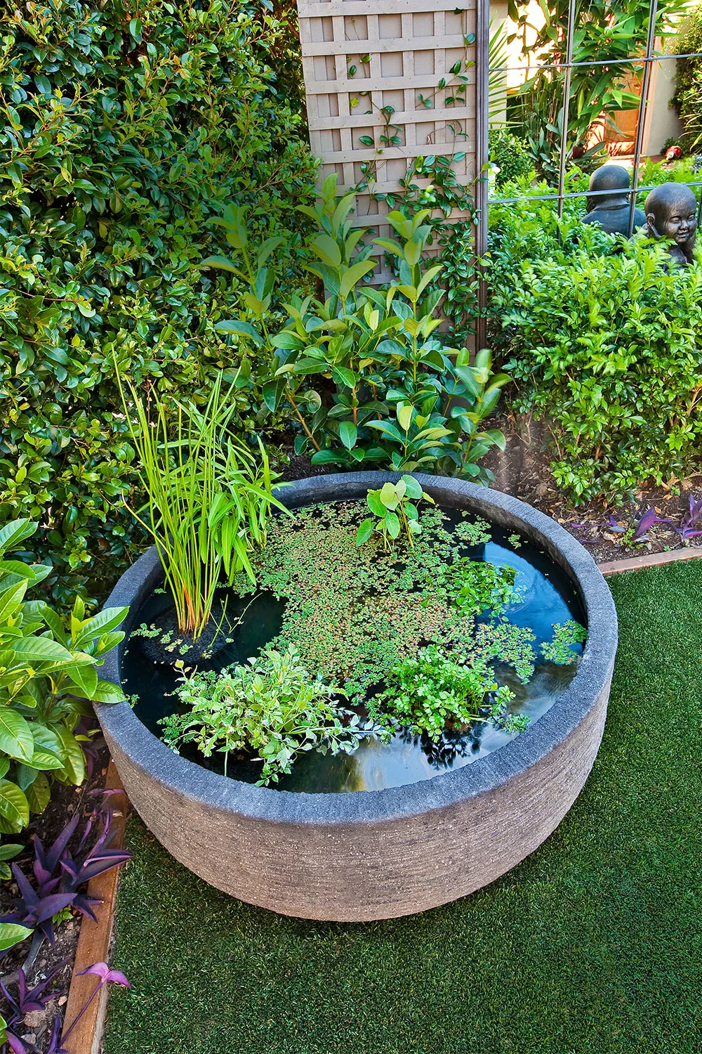 Edible water veggie pot