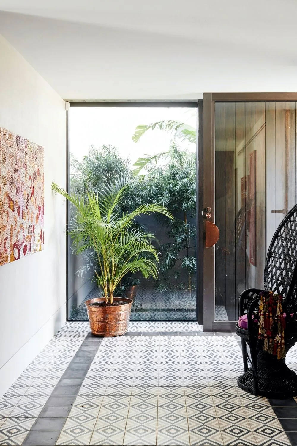 house-plants