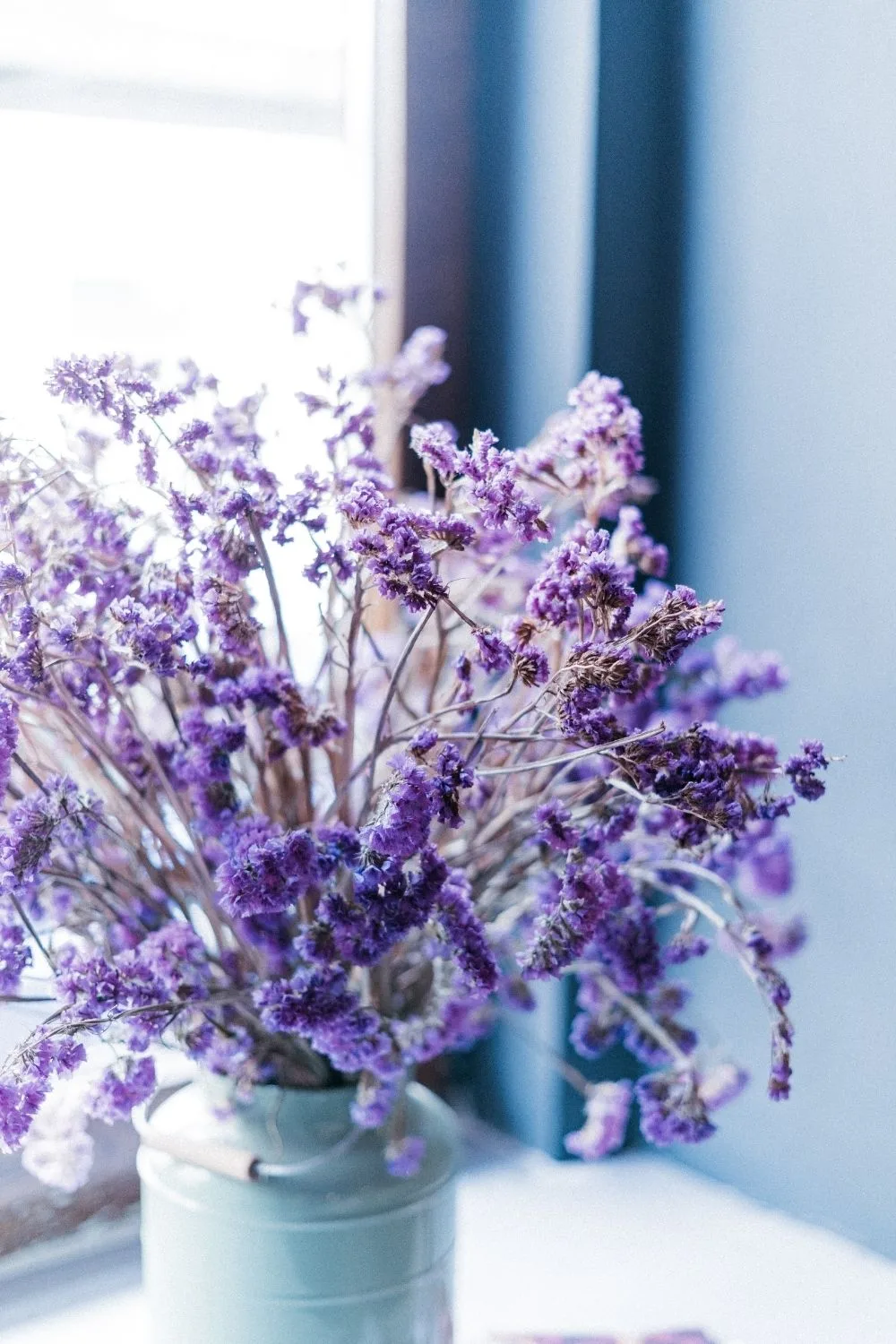 lavender