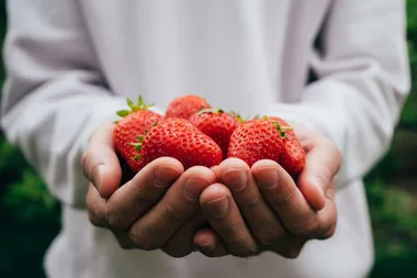 5 reasons to grow fruit in pots