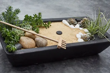DIY a mini zen garden