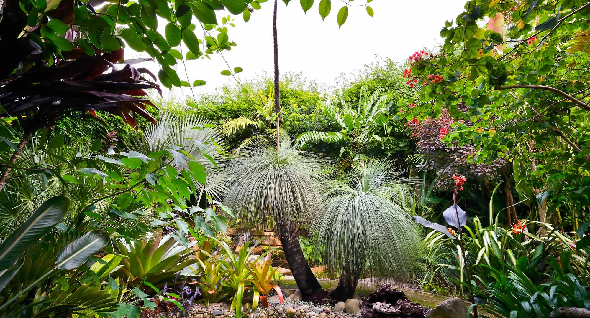 Turn your backyard into a jungle nook hideaway