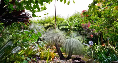 Turn your backyard into a jungle nook hideaway