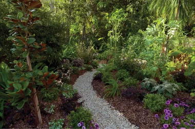 How to get a show garden on a budget