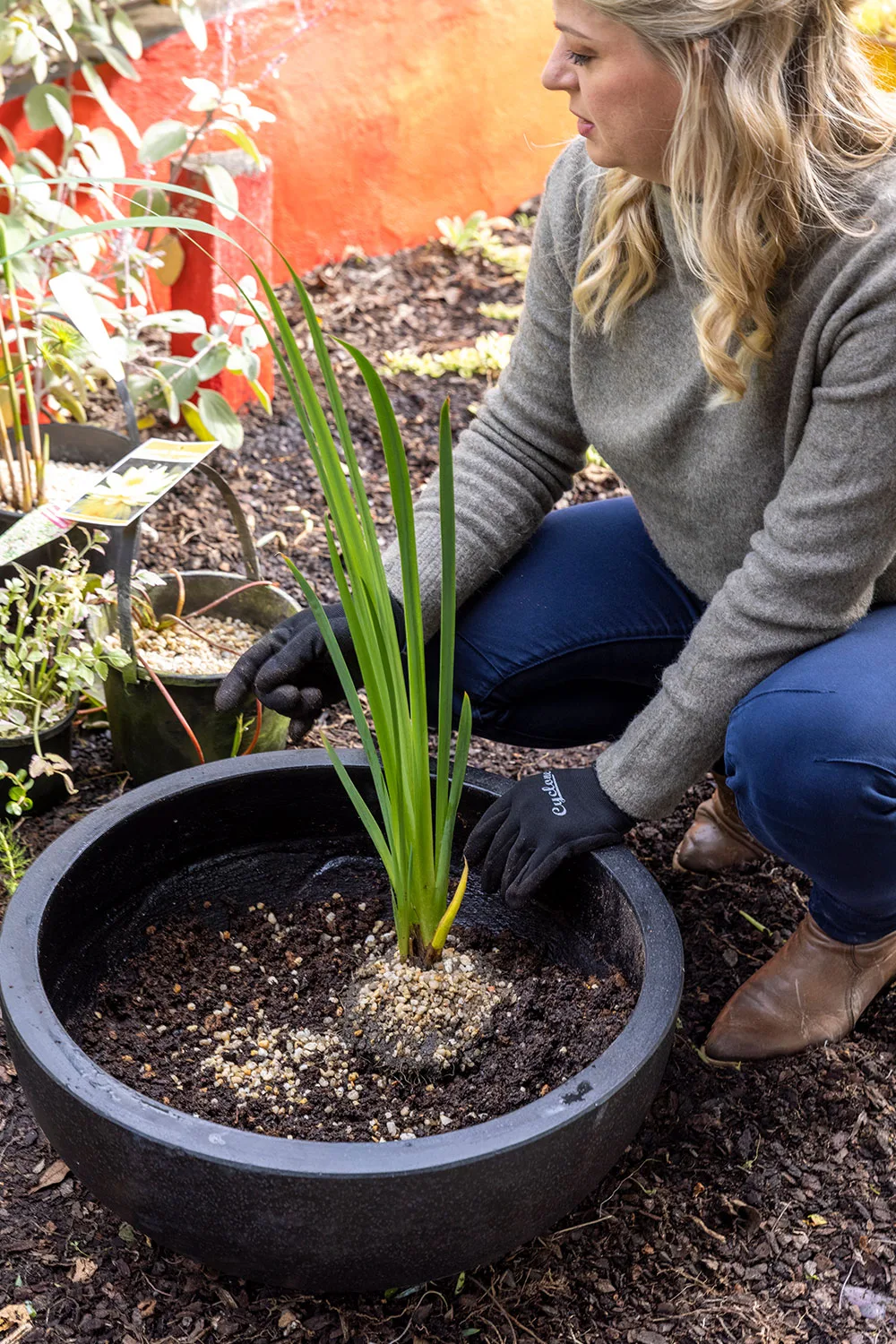 How to make water garden step 3