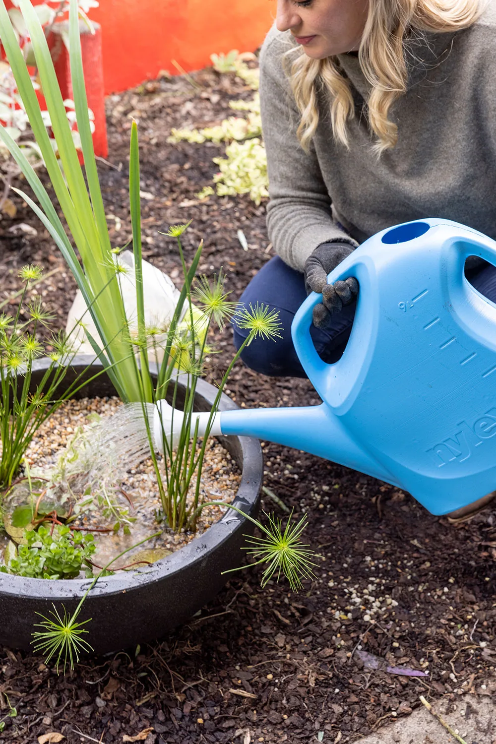 How to make water garden in a bowl step 5
