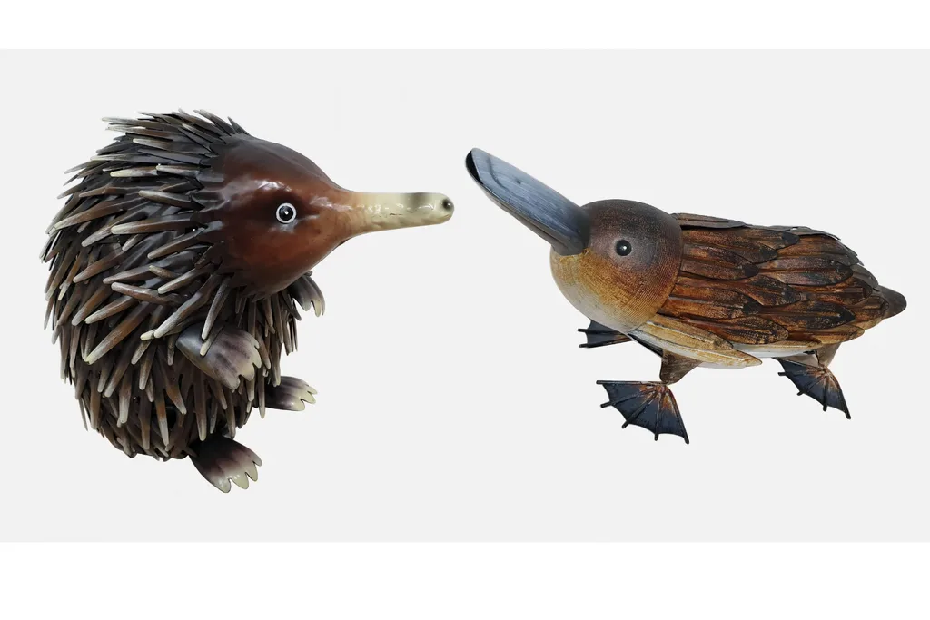 echidna platypus gnomes