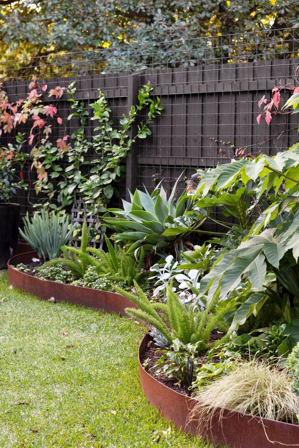 lawn