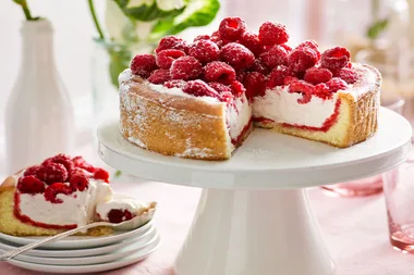 White chocolate and raspberry ice cream cake