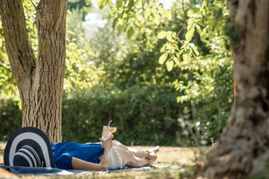 Trees that provide great shade in the summer