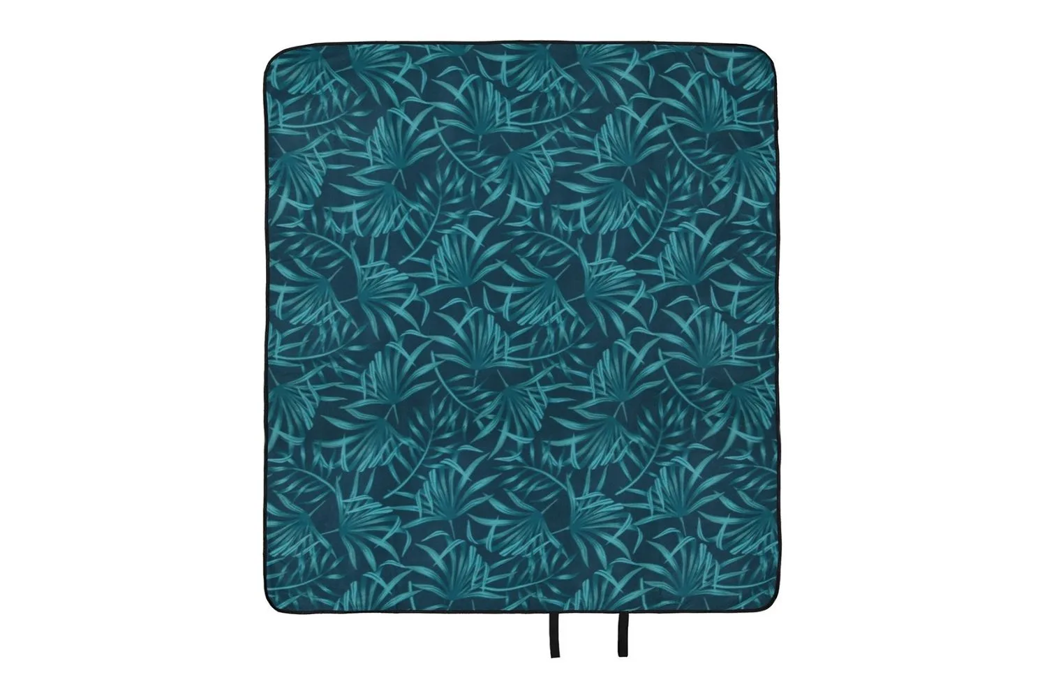 kmart-picnic-rug