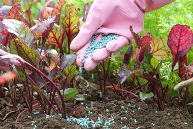 Feed your garden