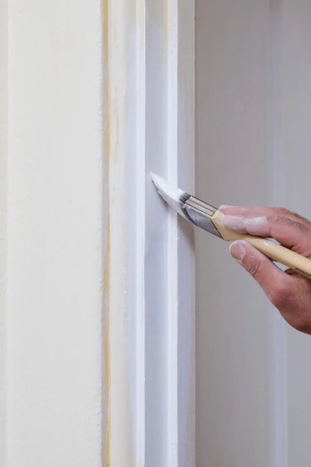 timber paint
