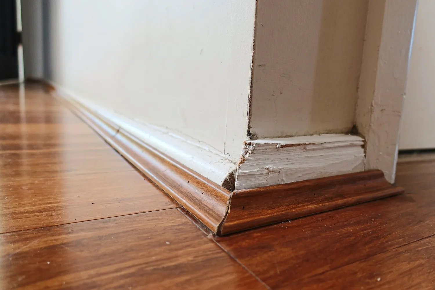 Before skirting