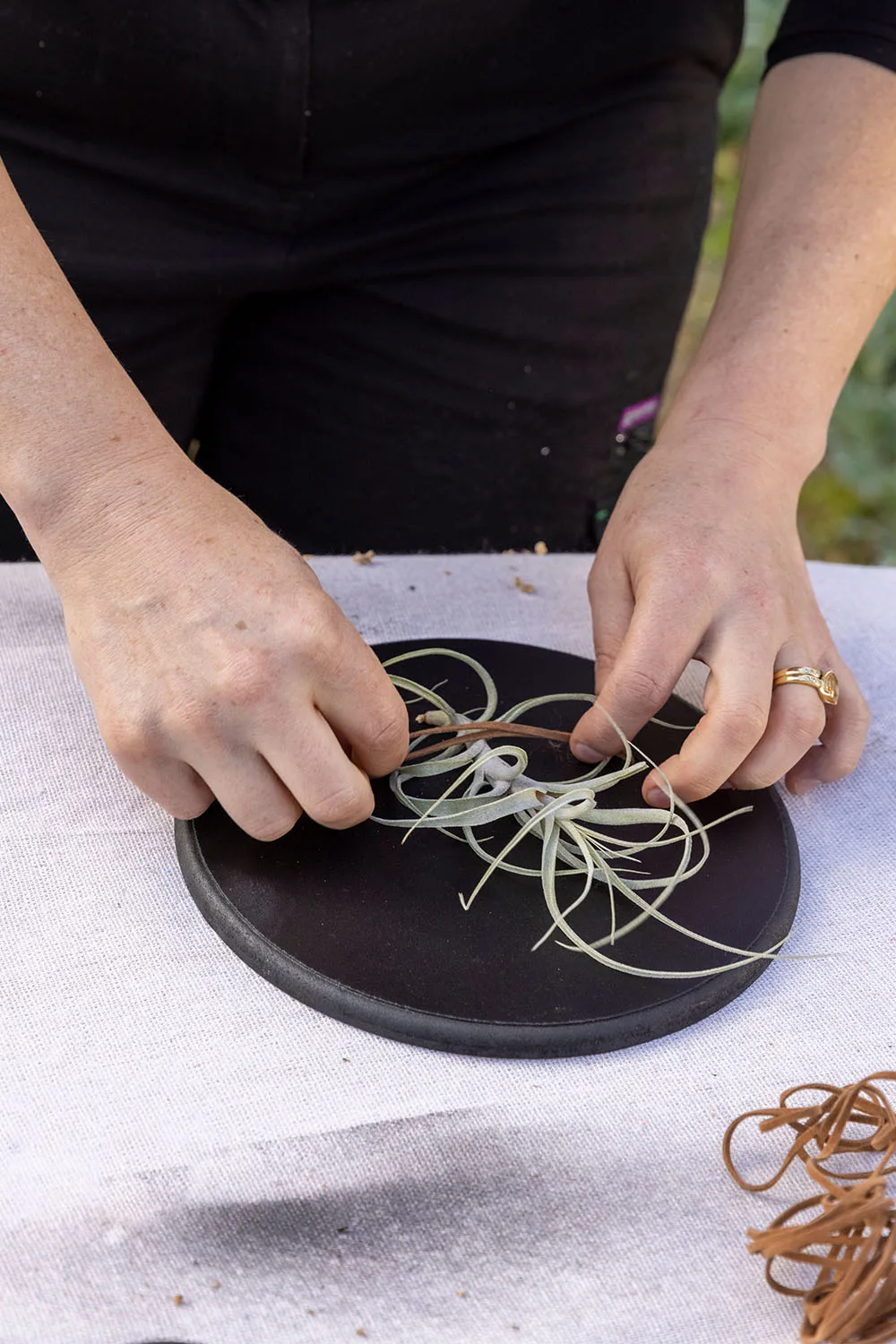 tillandsia-plaques3