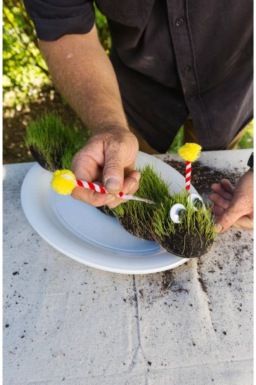 caterpillar garden