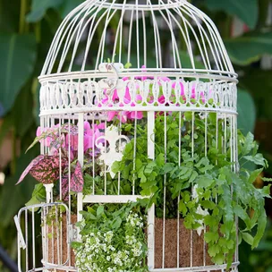 How to make a birdcage flower planter