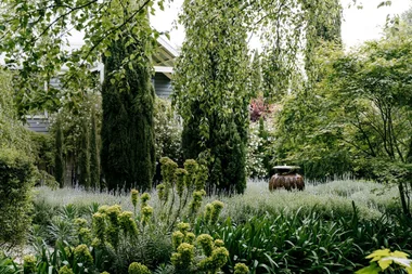 The top 8 garden trends you need to know for 2022