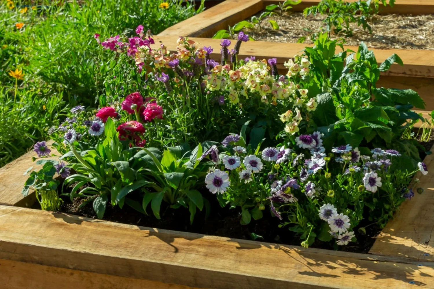 A beginner’s guide to creating raised garden beds