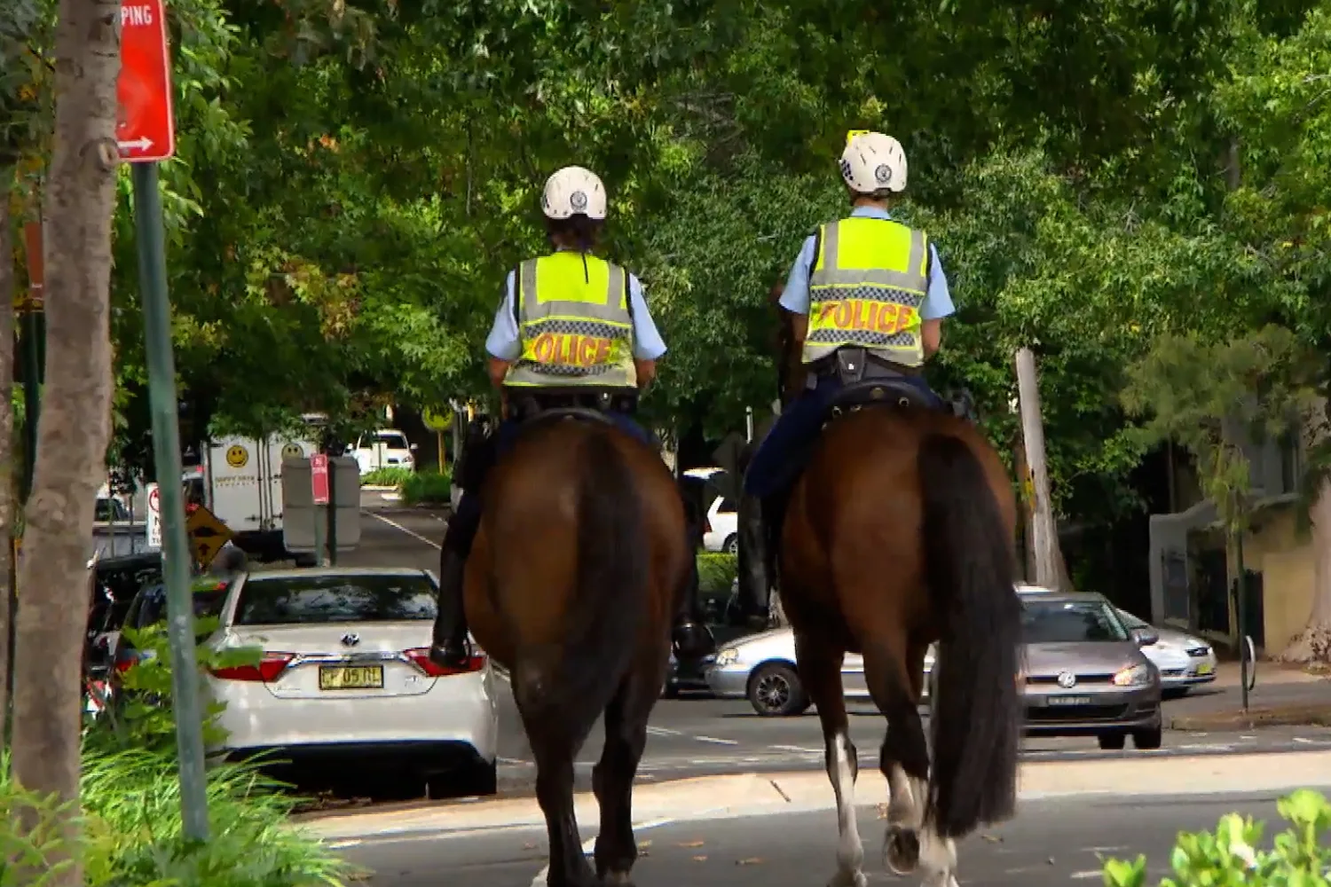 Dr Harry visits the NSW Mounted Police