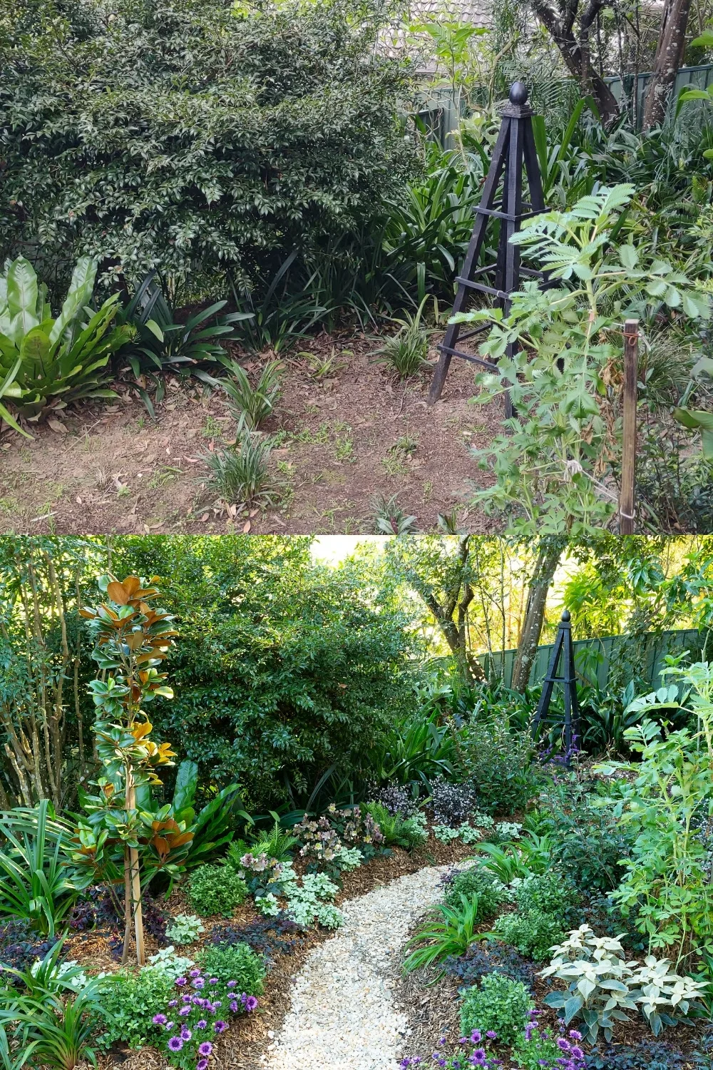 before and after