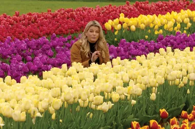 Melissa visits the Tesselaar tulip festival