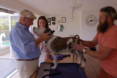 Dr Harry revisits Duke the anxious dog