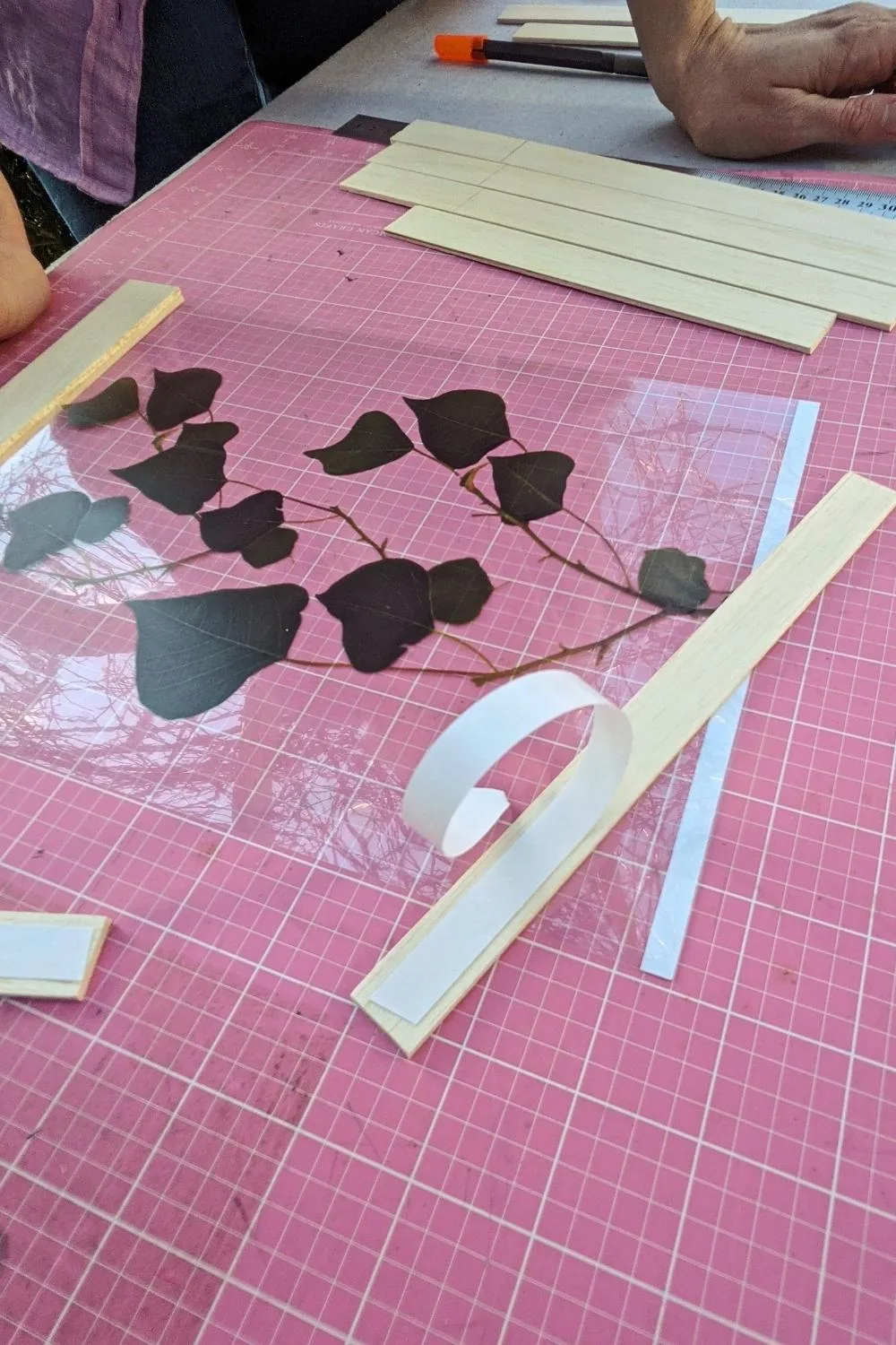 Step 5