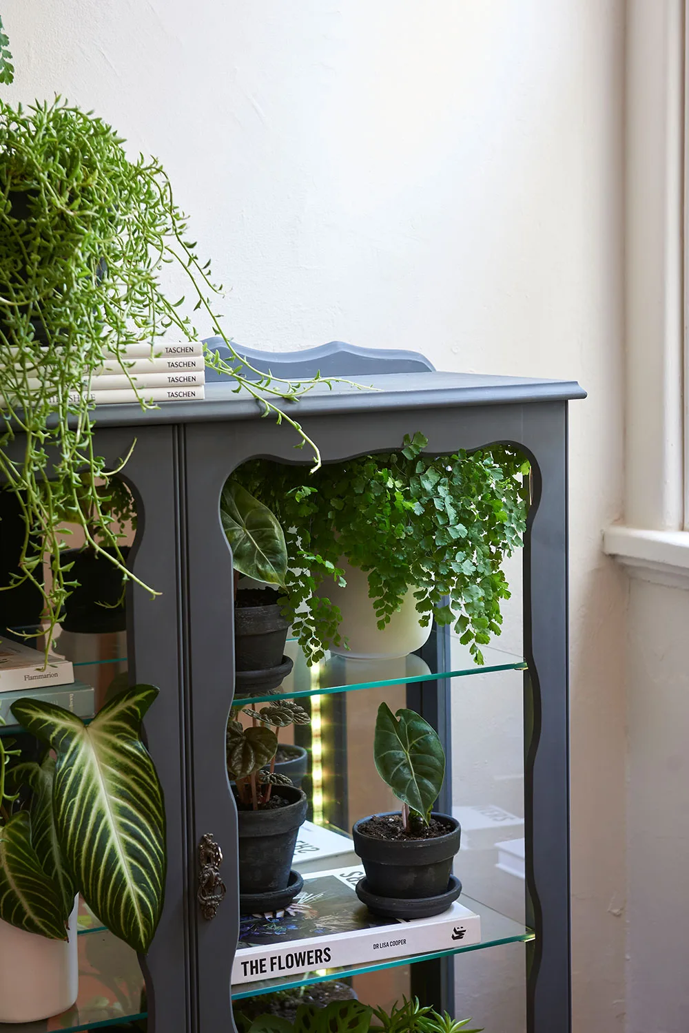 Grow lights in cabinet