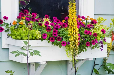 Make an adorable window planter box