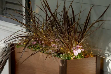How to spruce up your outdoor space with fairy lights