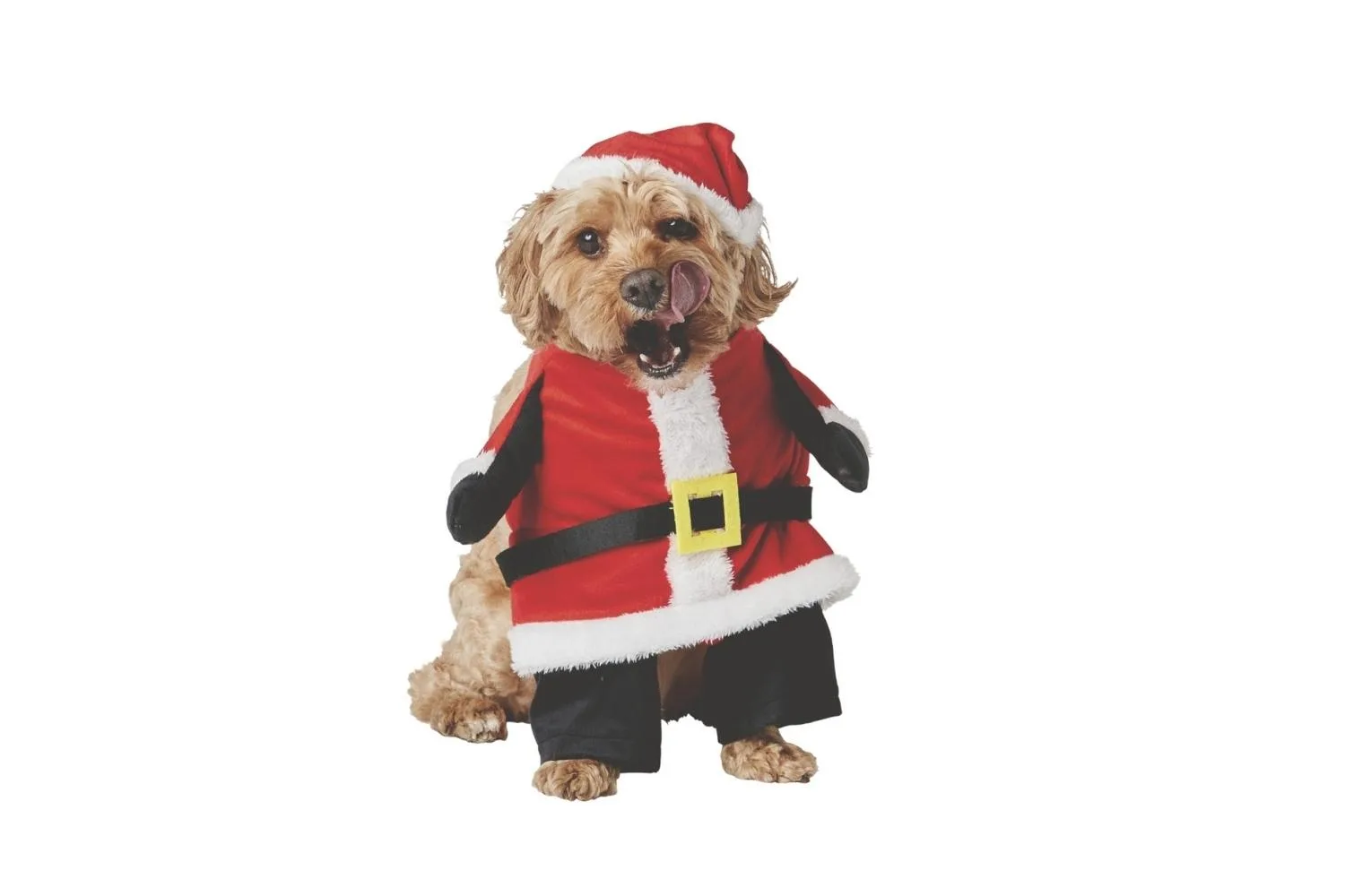 Pet Christmas Costume