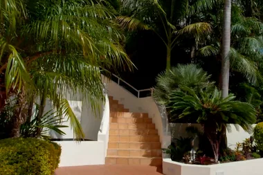 Graham visits a tropical garden